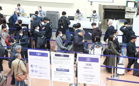 Global flights in chaos as top-selling Airbus jet hit by recall