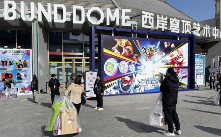 Anime event in Shanghai canceled after singer's show interrupted