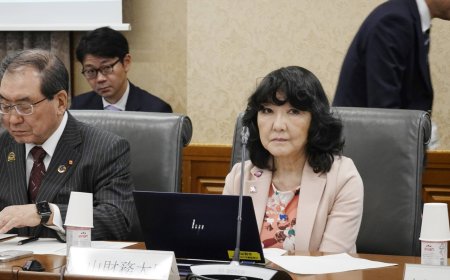 Finance Minister Katayama says FX moves not based on fundamentals