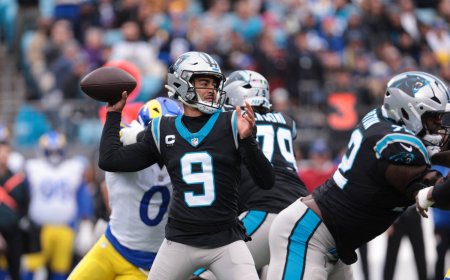 Bryce Young enjoys big day as Panthers upset Rams