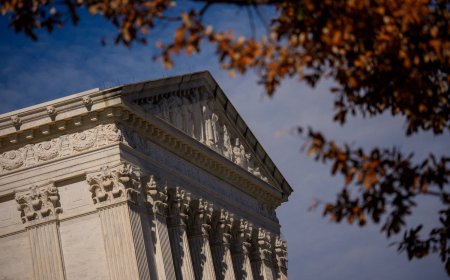 Affiliates of nine Japan firms sue U.S. government over Trump tariffs