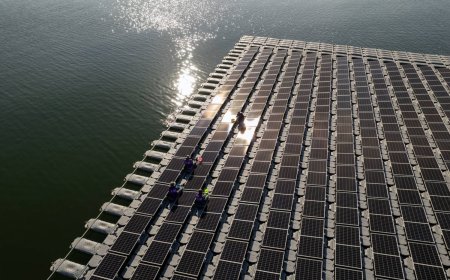 European utilities rethink bets in slow-to-go-green Southeast Asia