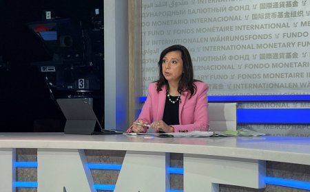 IMF spokesperson welcomes Japan's draft extra budget