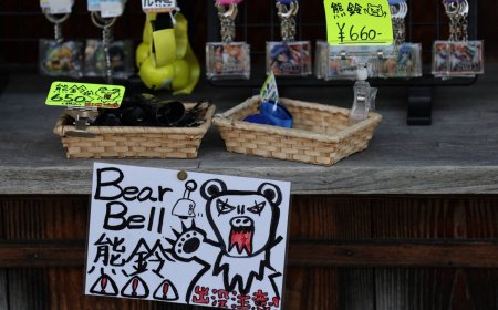 Japan’s bear-related casualties hit record on escalating attacks