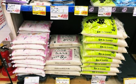 Average price of rice in Japan hits new record high