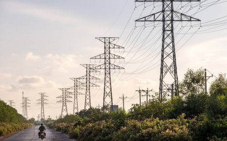 Japan pulls out of Vietnam nuclear project, complicating Hanoi's power plans​