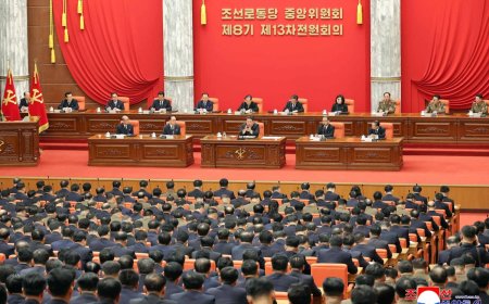 North Korea fires artillery salvo as it kicks off key party meeting