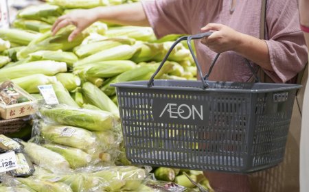 Japanese firms sell record retail debt as inflation fuels demand