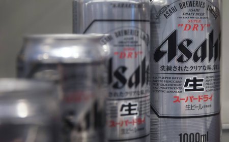 Asahi plans first steps in Africa with deal to buy alcohol unit from Diageo