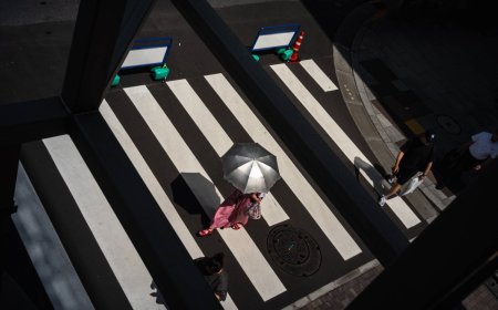 Hundreds sue Japan's central government over 'unconstitutional' climate inaction