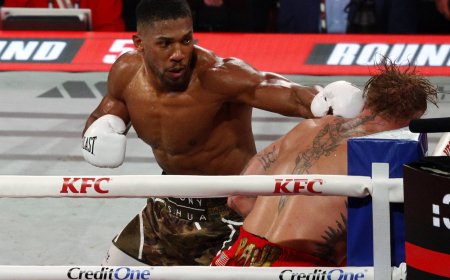 Joshua knocks out Paul to win Netflix boxing bout