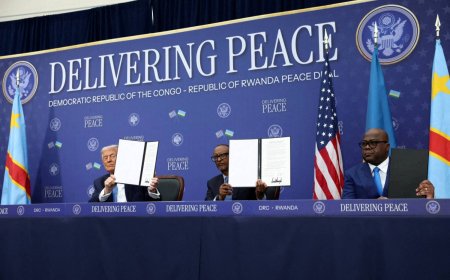 Trump’s recall of ambassadors compounds staffing problems at posts in Africa