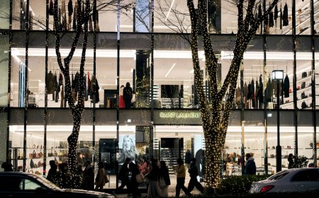 Japan expects growth to accelerate next year with fiscal stimulus