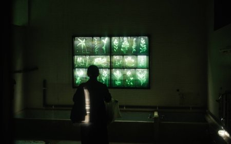 A year of plenty: Endless art shows, subtle curation of themes