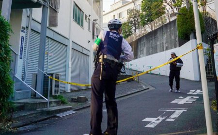 Woman injured after being stabbed in Tokyo, with the suspect at large