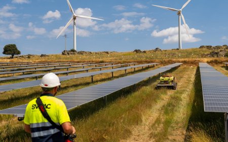 Japan strives to sustain ESG investment amid global retreat