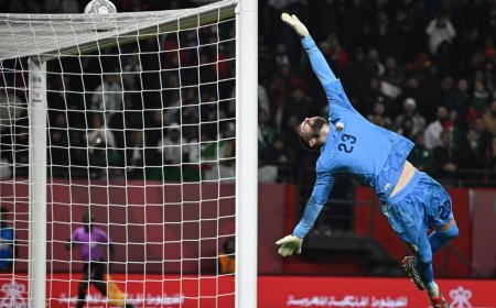 Goalkeeper Zidane fast becoming Algeria favorite