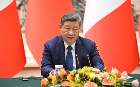 China will push more proactive macro policies in 2026, Xi says