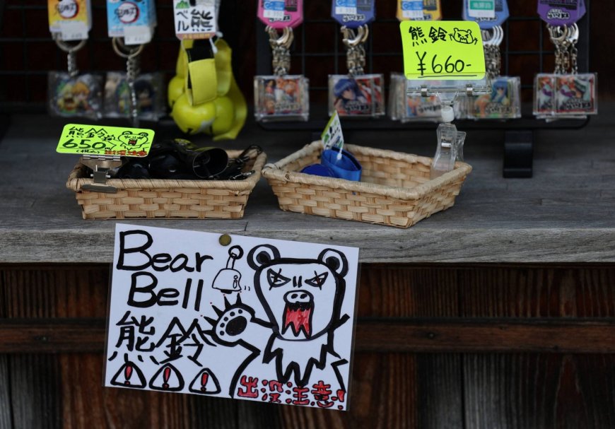 Japan’s bear-related casualties hit record on escalating attacks