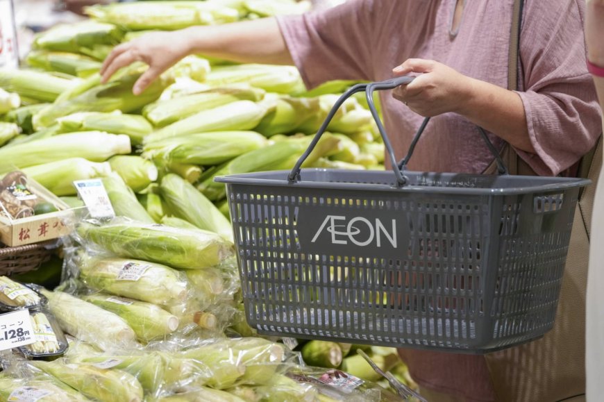 Japanese firms sell record retail debt as inflation fuels demand