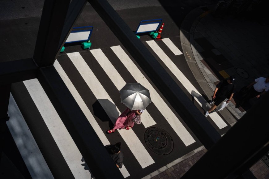 Hundreds sue Japan's central government over 'unconstitutional' climate inaction