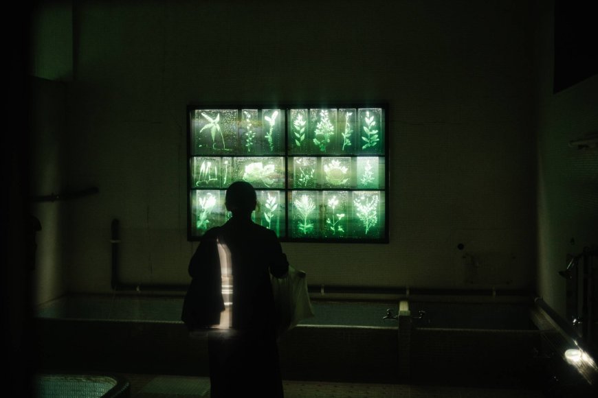 A year of plenty: Endless art shows, subtle curation of themes