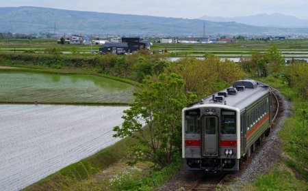 JR companies and local governments to continue talks on loss-making railway lines