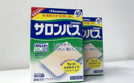 CEO of Salonpas maker seeks to take $2.9 billion drug firm private