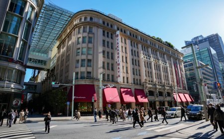 China travel curbs hit Japan duty-free sales in December