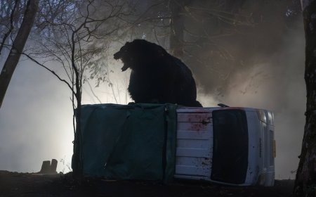 ‘Higuma!! The Killer Bear’: Monster movie proves a little too timely
