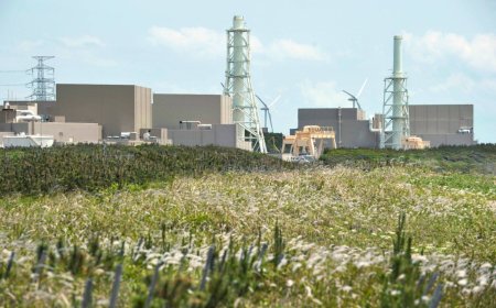 Chubu Electric's data fraud 'undermines' Japan's nuclear energy policy