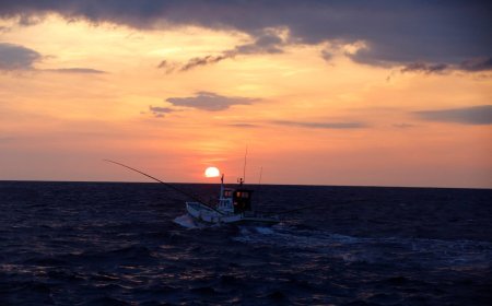 How Japan’s warming seas are affecting livelihoods and culture