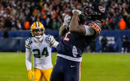 Bears stun Packers as Rams survive Panthers playoff scare