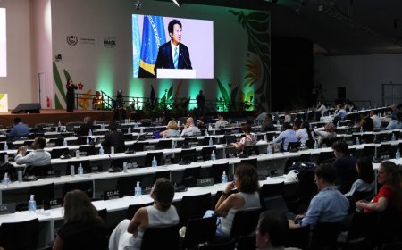 Japan to stay the course on fighting climate change despite U.S. exit