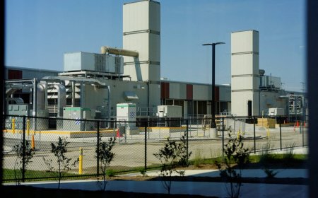 Microsoft in record deal for soil carbon credits as data centers surge