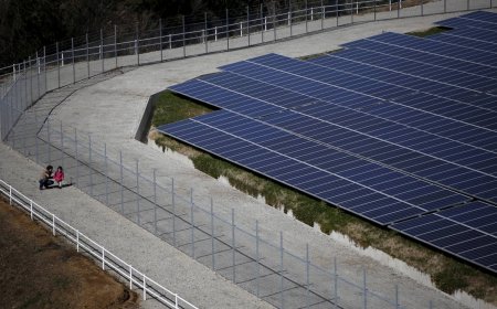 Beijing row highlights need for Japan to reduce cleantech dependence on China