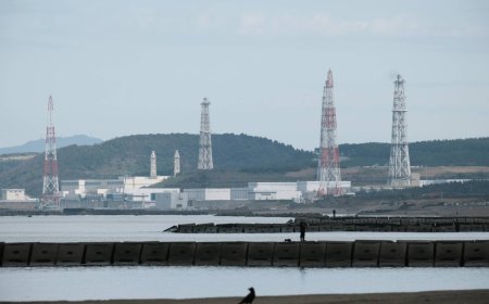 Tepco to postpone restart of Kashiwazaki-Kariwa nuclear reactor