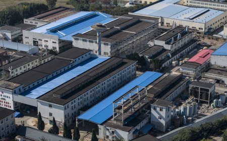 Chinese exports of rare earth magnets to Japan fell in December ahead of curbs