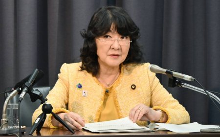 Japan Lower House dissolution to delay budget passage