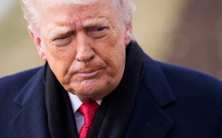 Trump plans Greenland talks in Davos, dominating agenda at global summit