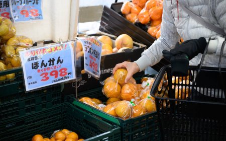 Takaichi’s plan to cut tax on food may worsen Japan’s finances, S&P says