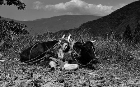 ‘Black Ox’: A Zen riddle beautifully depicted in 10 chapters