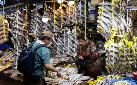 South Korea’s surprise contraction points to broad fragility