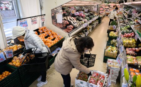 Japan’s inflation slows on subsidy effect ahead of BOJ decision