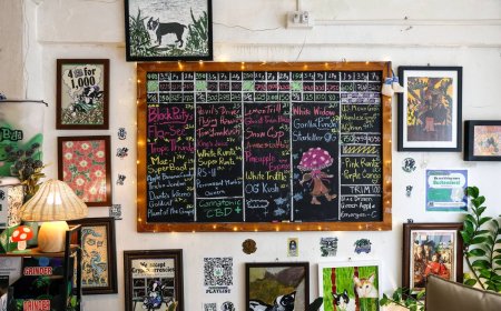 Weed backlash grows in Thailand as kids turn to cannabis