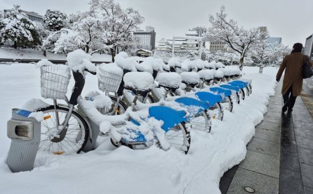 Heavy snow continues along Sea of Japan coast, disrupts transportation