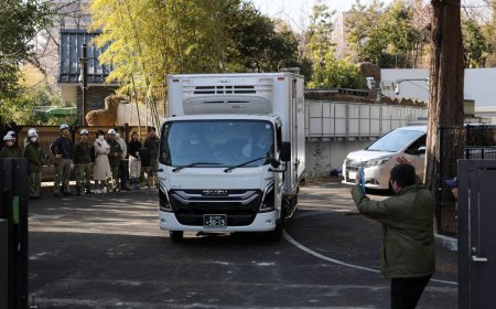Last two pandas in Japan leave for China