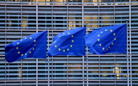 ‘Forever chemicals’ could cost Europe up to €1.7 trillion by 2050: report