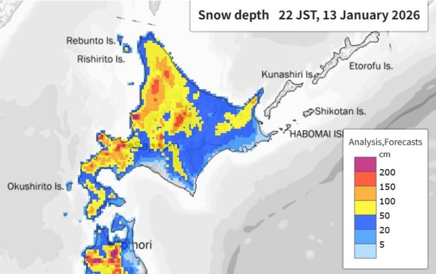 Hundreds of passengers stranded at Hokkaido airport after severe blizzard