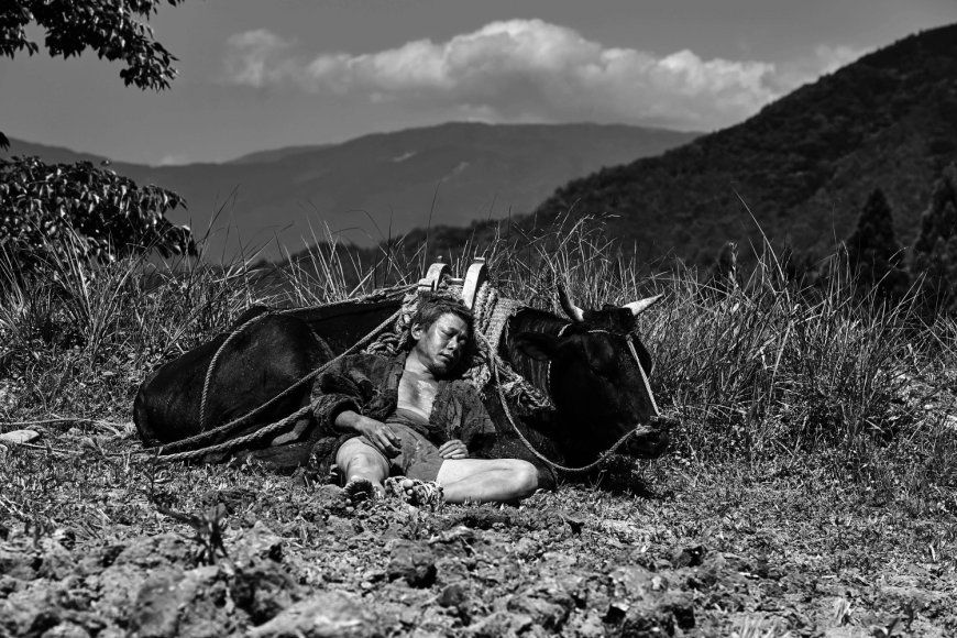 ‘Black Ox’: A Zen riddle beautifully depicted in 10 chapters